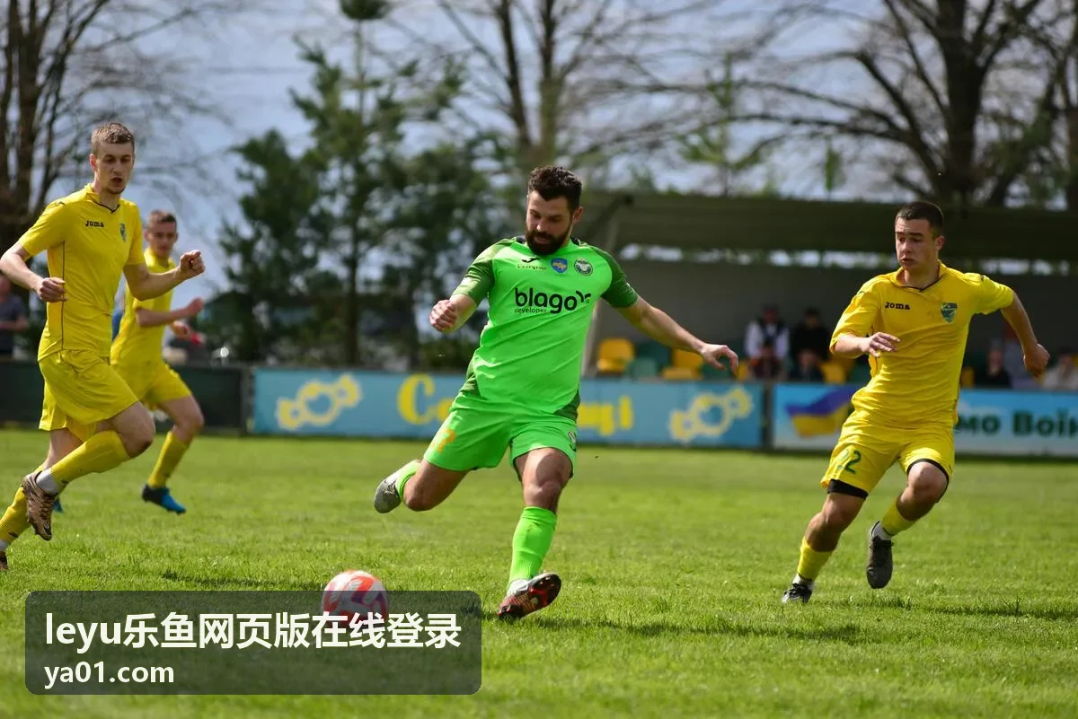 leyu乐鱼网页版在线登录操作指引封面