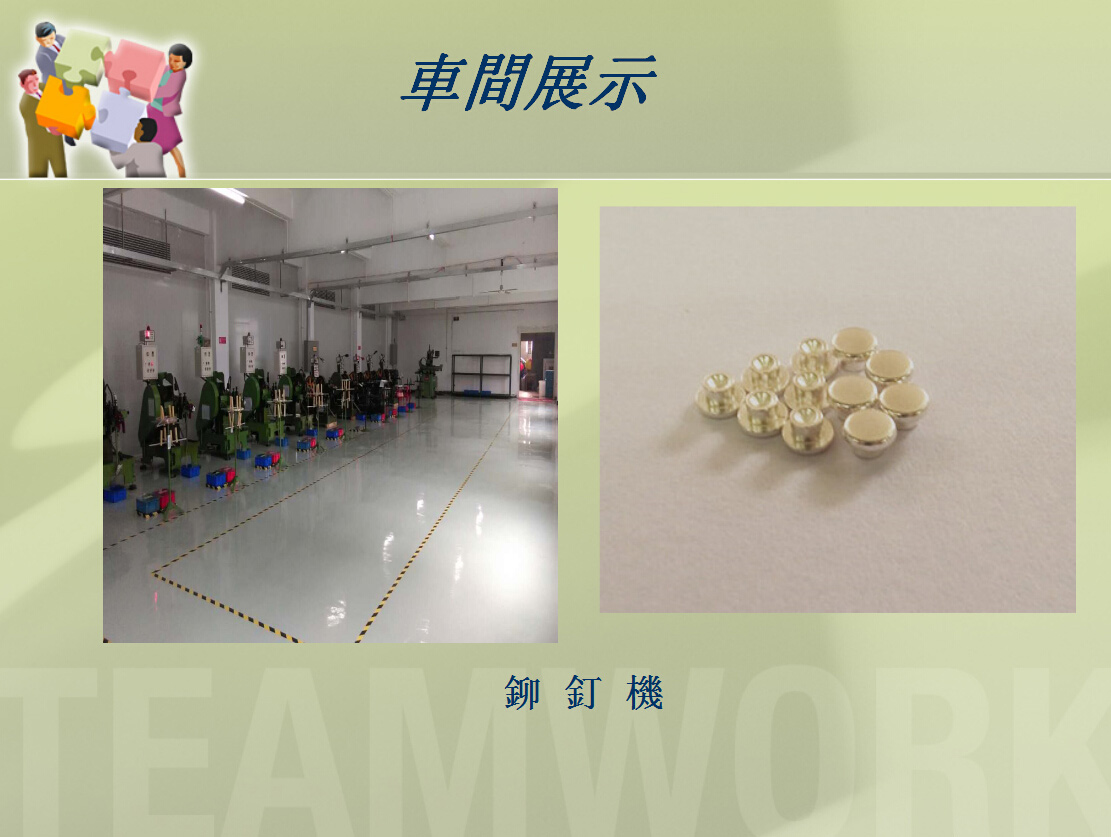 公司相冊-(7)
